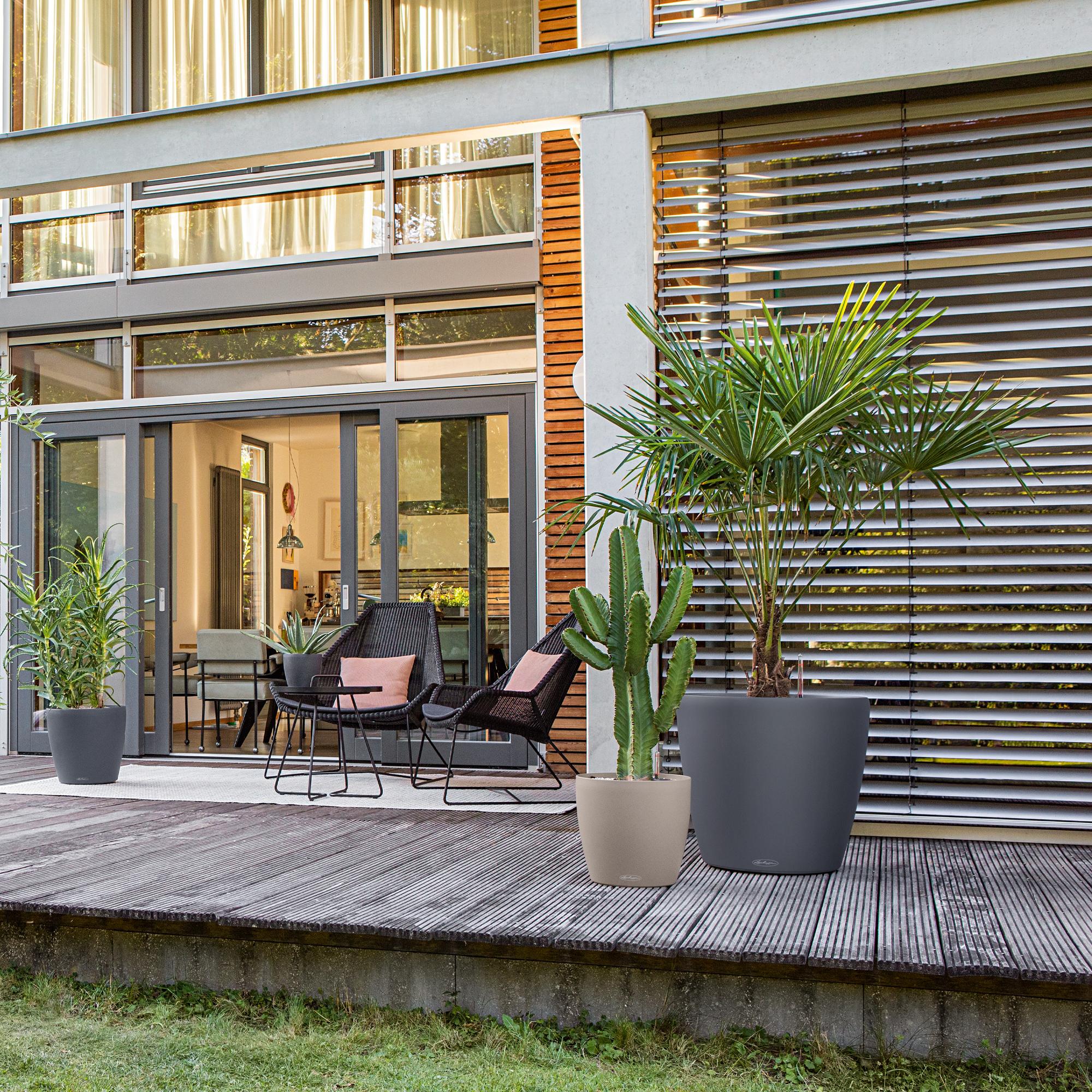 le_classico-color_product_addi_01